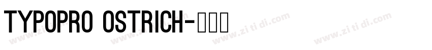 TypoPRO Ostrich字体转换